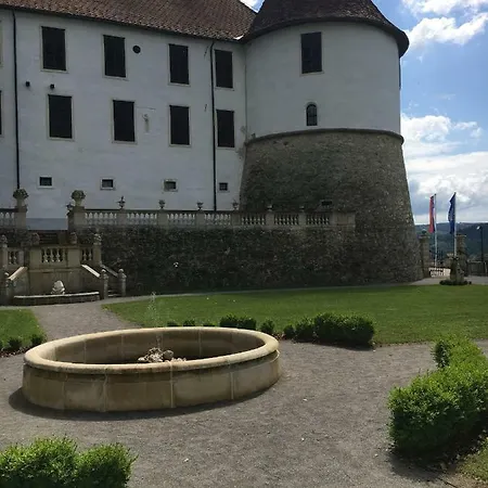 Vineyard Marjetka *