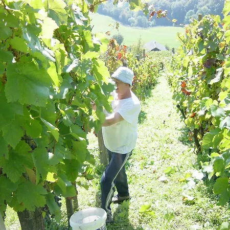 Vineyard Marjetka Hébergement de vacances Zabukovje nad Sevnico