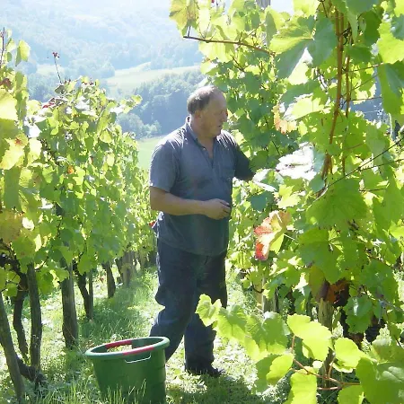 Vineyard Marjetka Hébergement de vacances