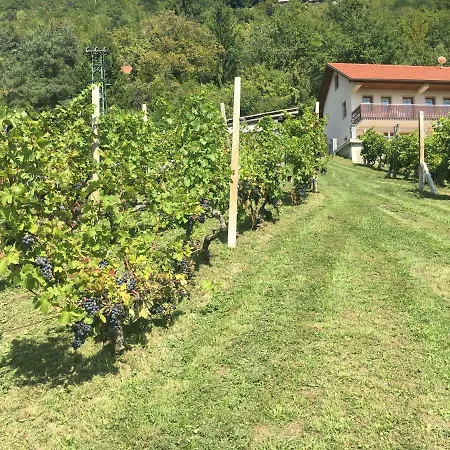 Vineyard Marjetka