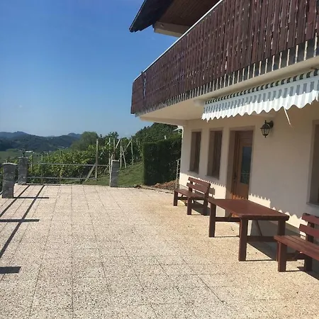 Vineyard Marjetka Zabukovje nad Sevnico
