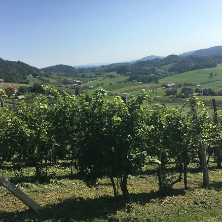 Hébergement de vacances Vineyard Marjetka *