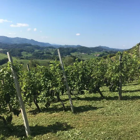 Hébergement de vacances Vineyard Marjetka *