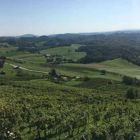Hébergement de vacances Vineyard Marjetka