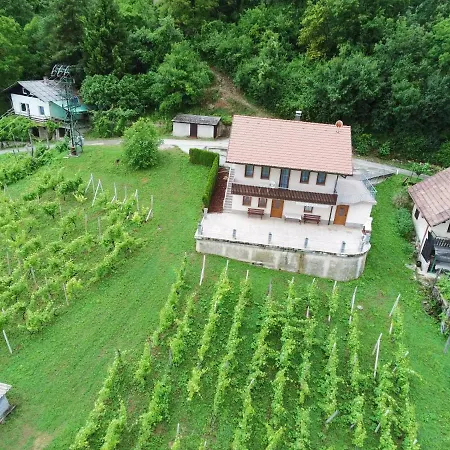 Vineyard Marjetka Zabukovje nad Sevnico