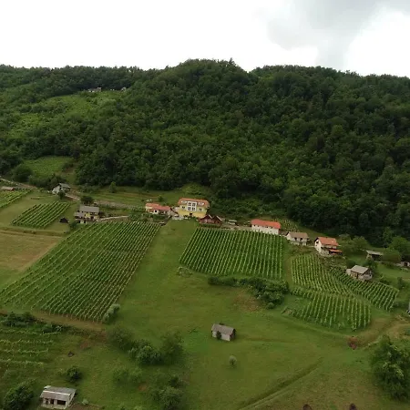 Vineyard Marjetka *