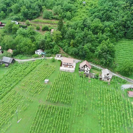 Vineyard Marjetka * Zabukovje nad Sevnico