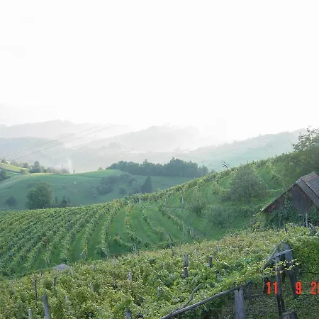 Vineyard Marjetka Hébergement de vacances *